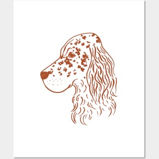 English Setter (White and Brown) Posters and Art